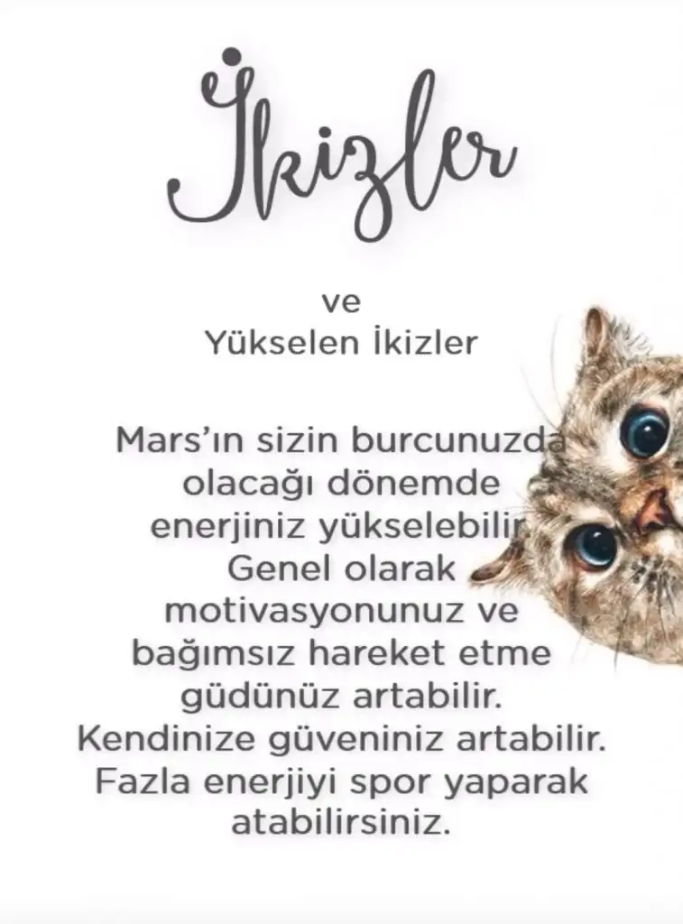 ikizz (3).webp