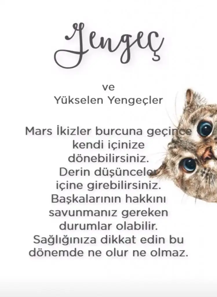 ikizz (4).webp
