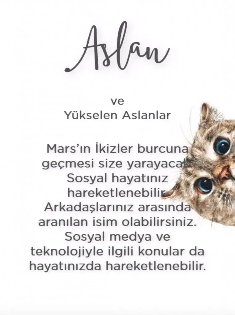 ikizz (5).webp