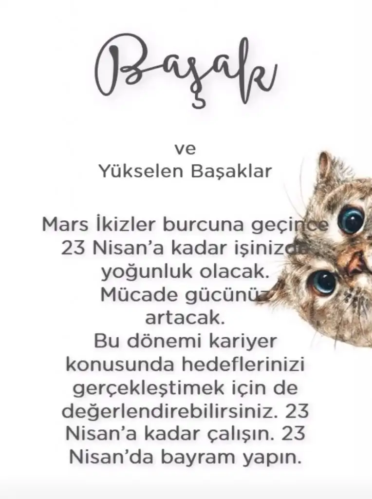 ikizz (6).webp