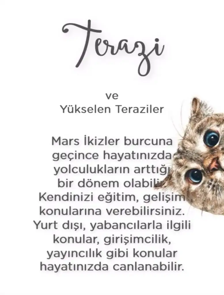 ikizz (7).webp