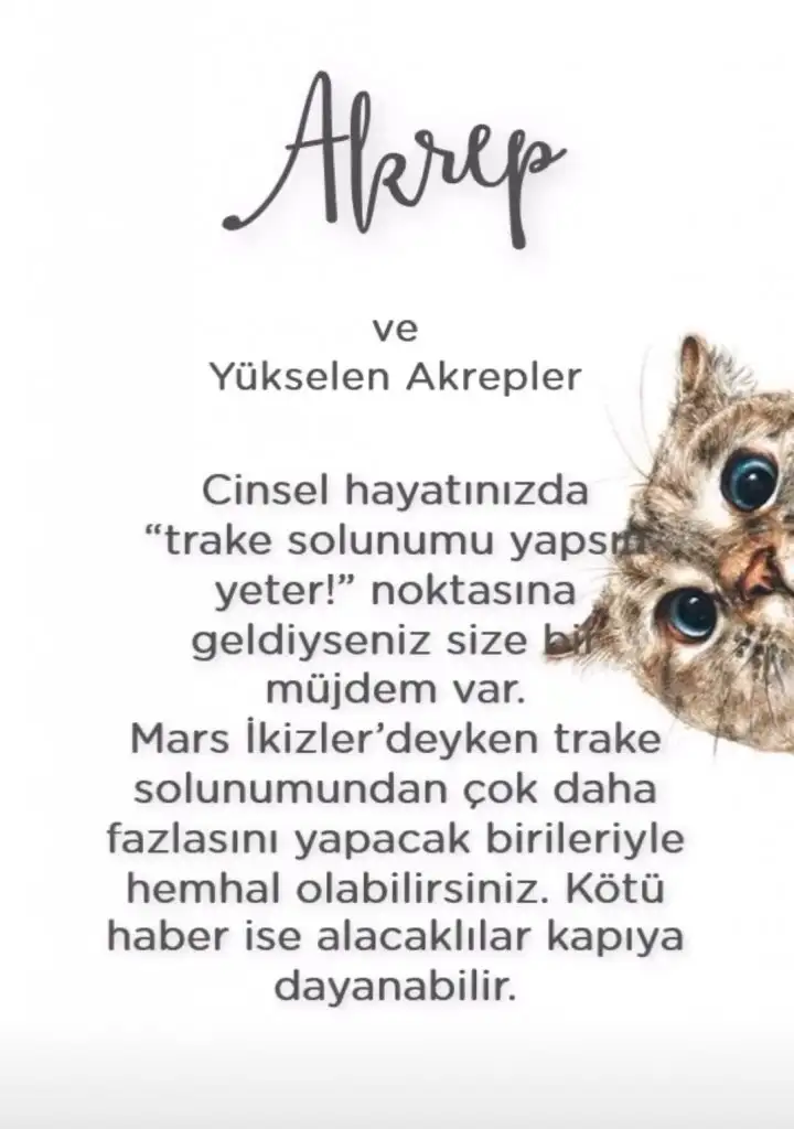 ikizz (8).webp