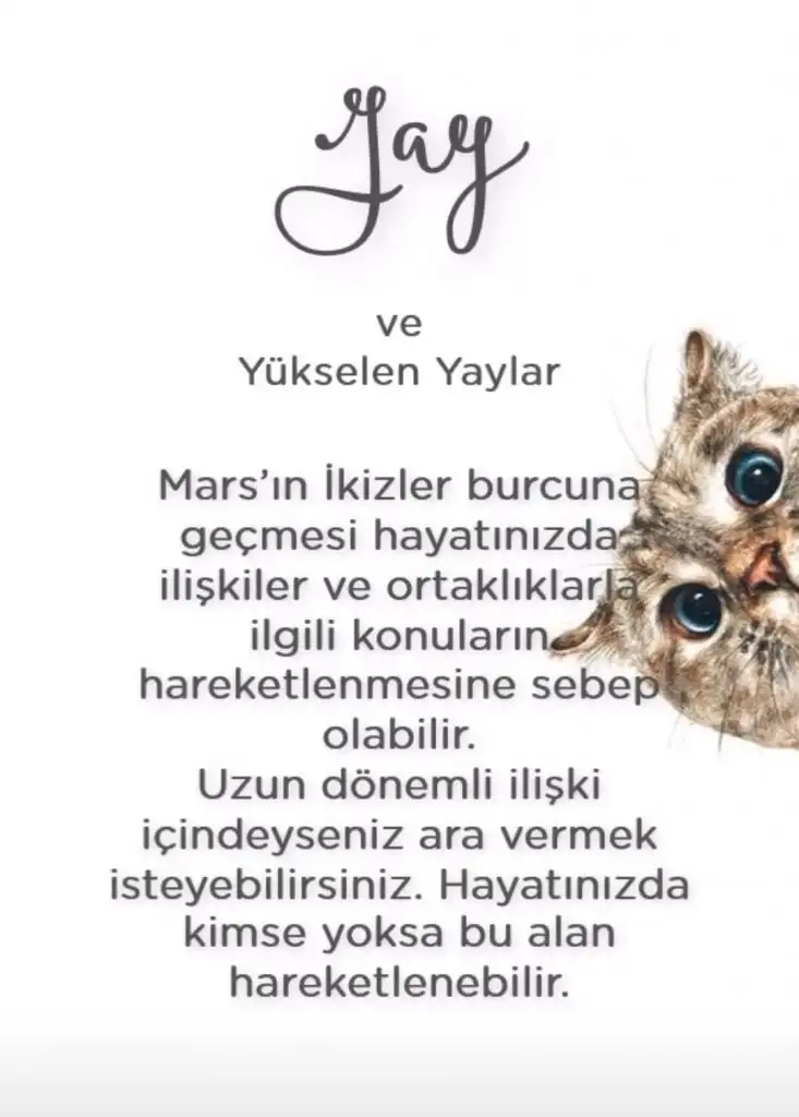 ikizz (9).webp