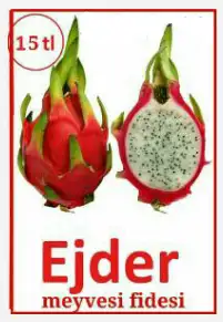 ilginç.webp