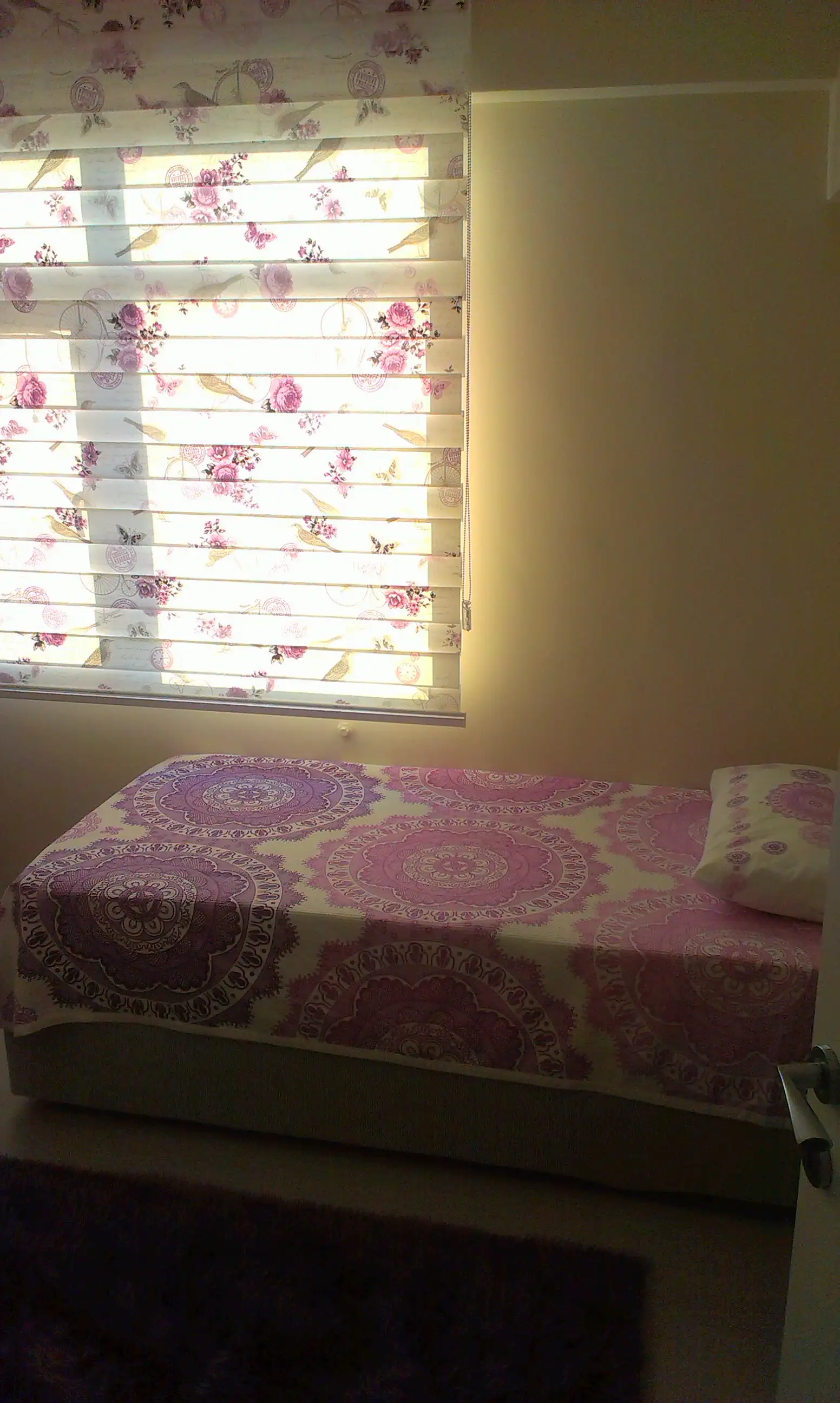 IMAG0019_1.webp