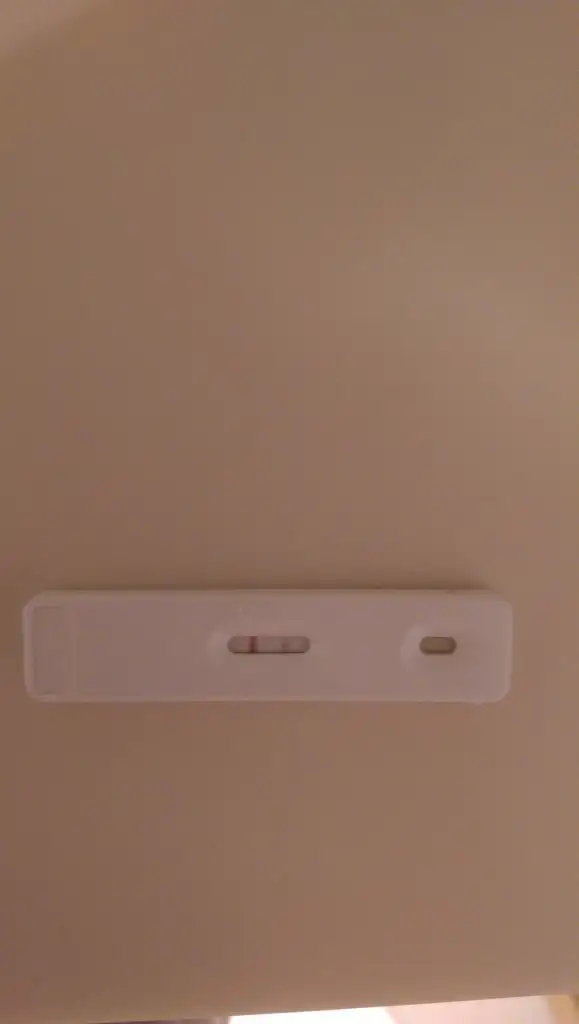 IMAG0077.webp