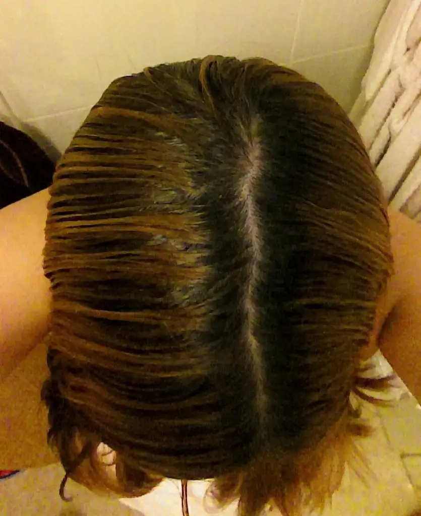 IMAG0090_1.webp