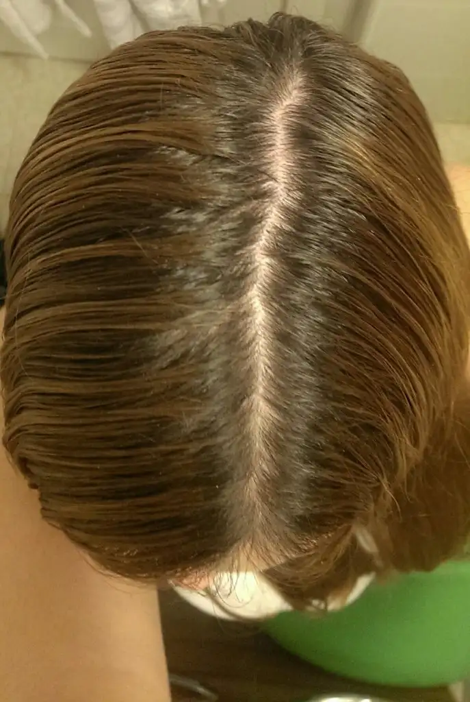 IMAG0092_1.webp