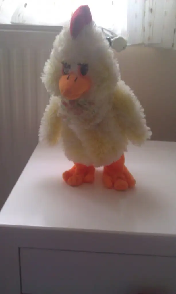 IMAG0096.webp