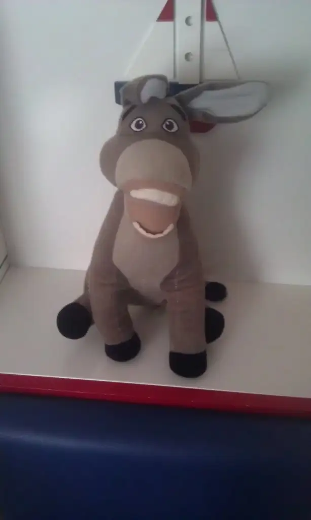 IMAG0097.webp