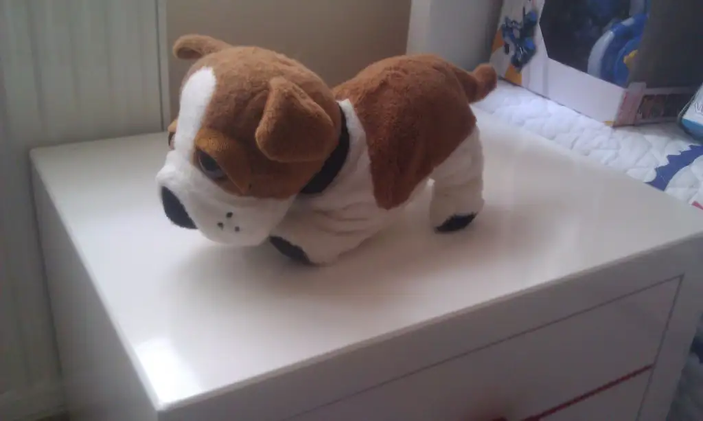 IMAG0098.webp