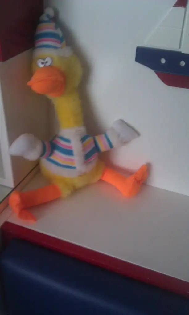 IMAG0101.webp