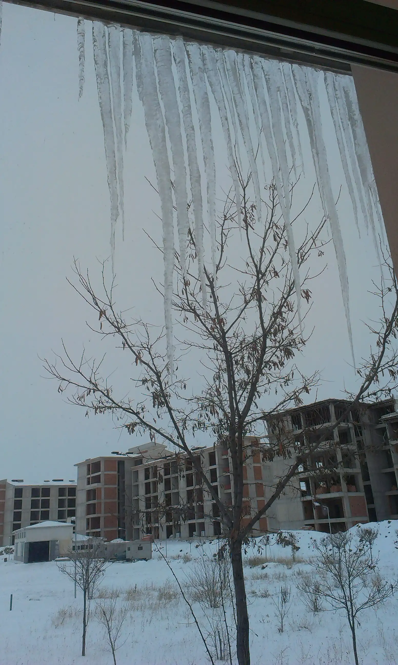 IMAG0117.webp