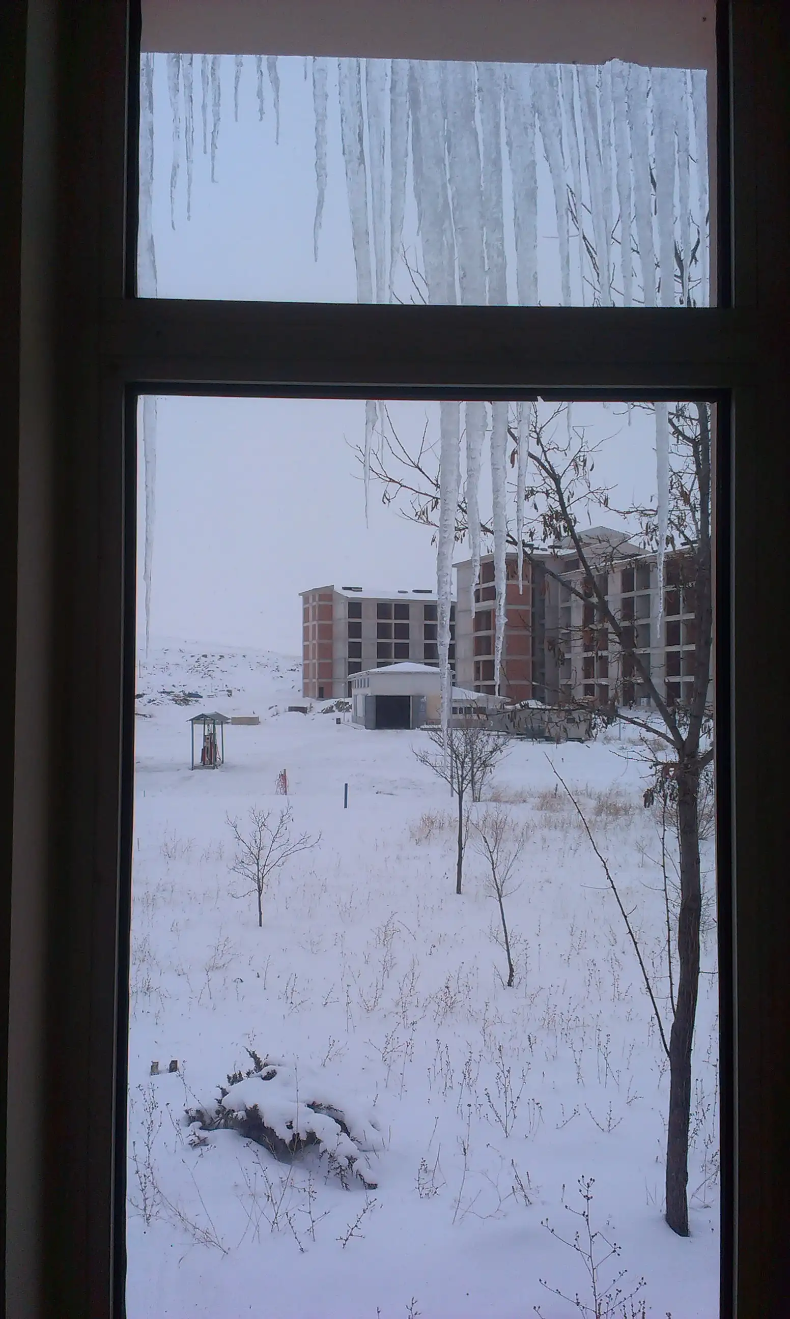 IMAG0118.webp