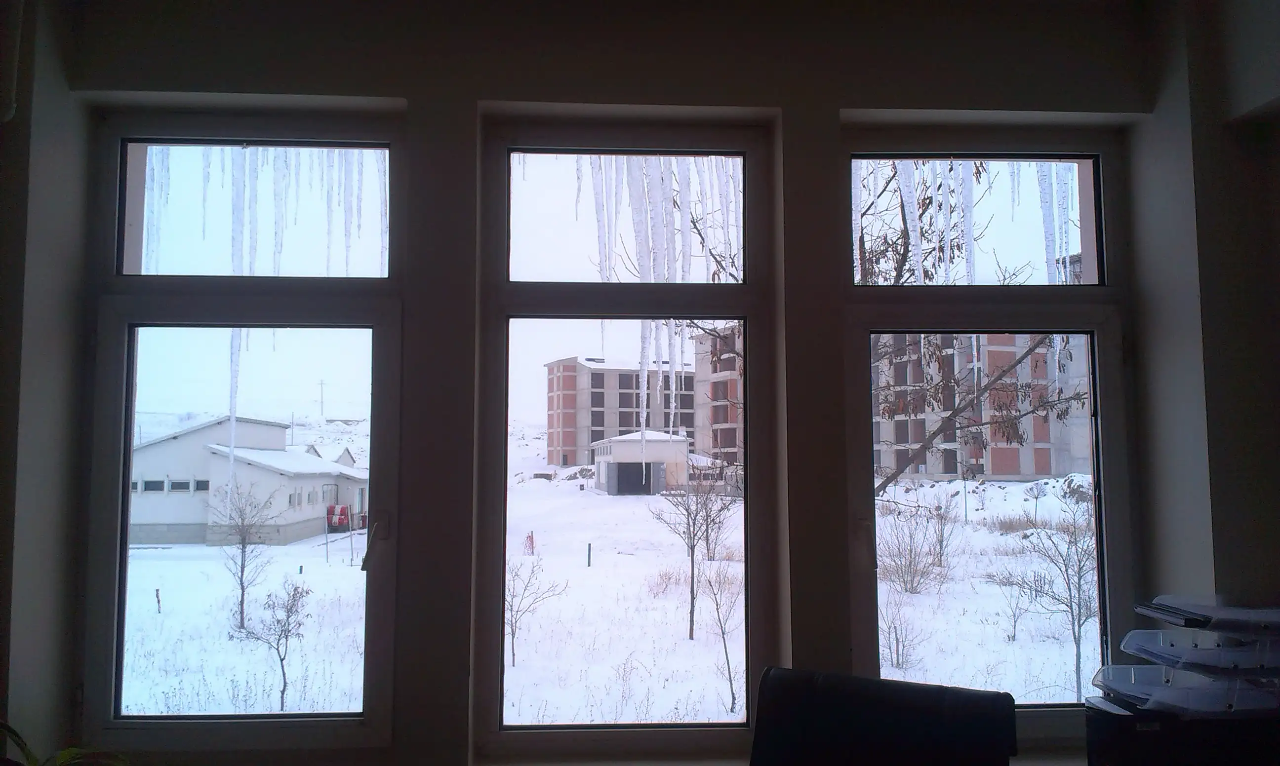IMAG0122.webp