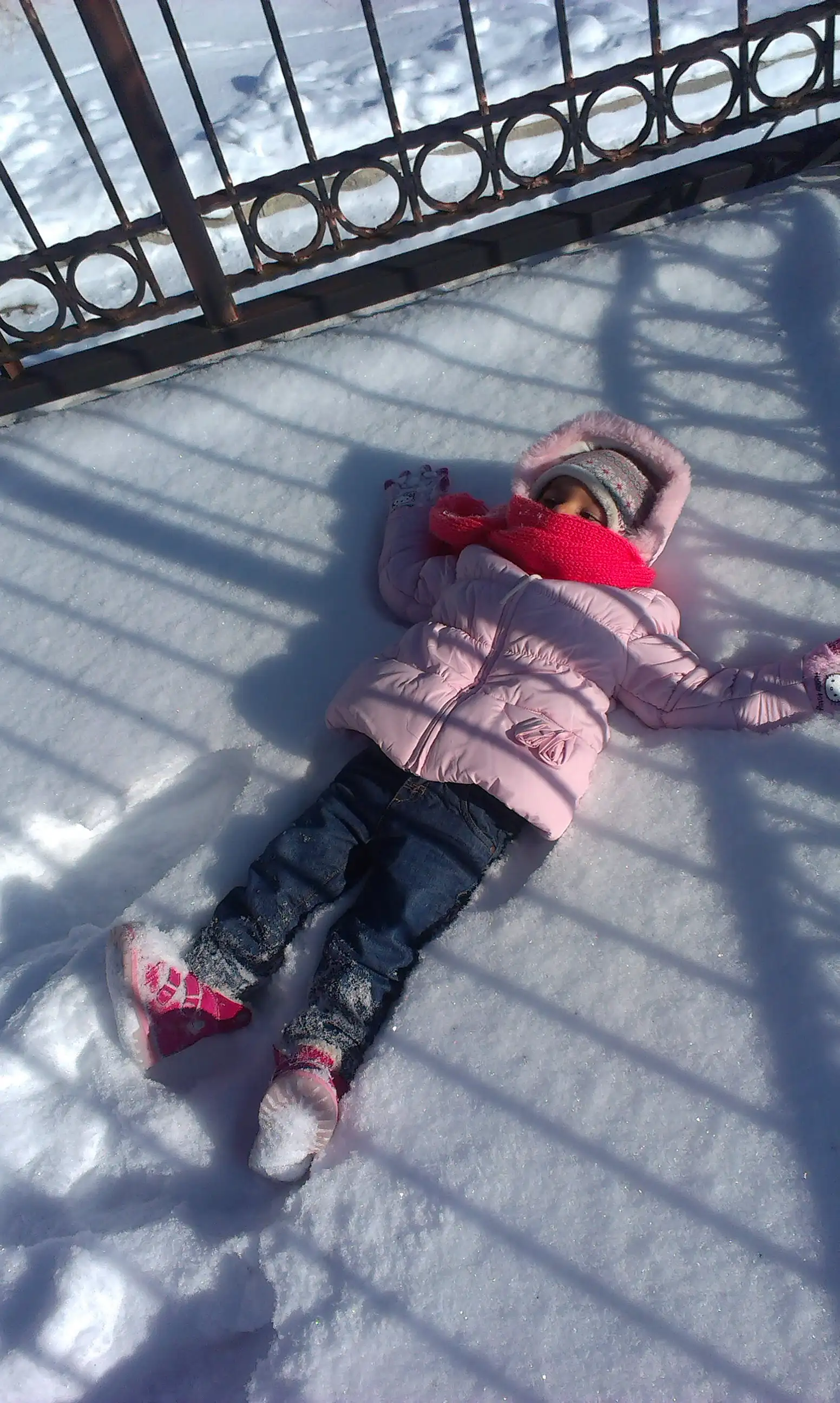 IMAG0129.webp