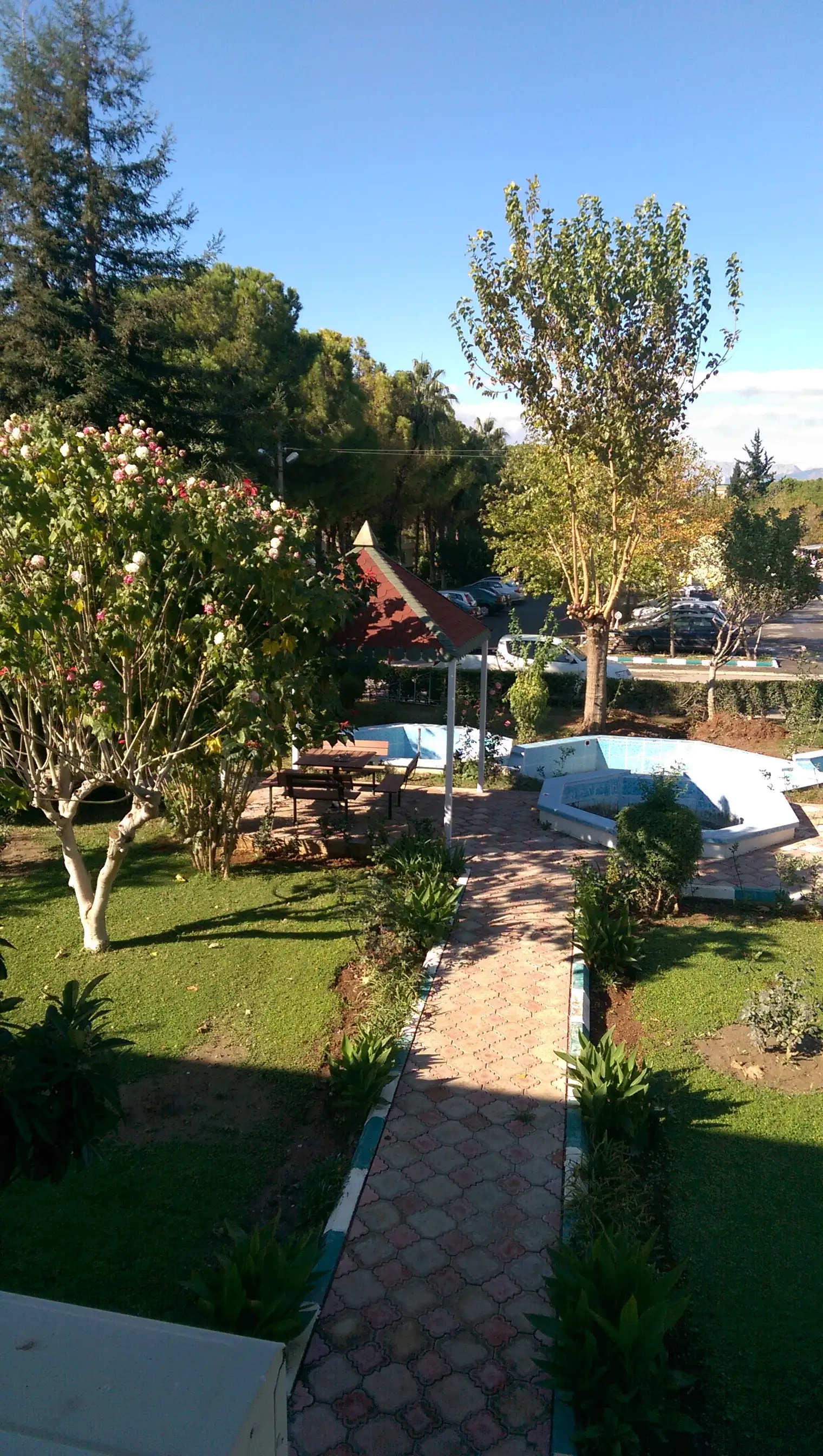 IMAG0203.webp