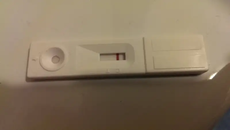IMAG0318.webp