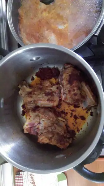 IMAG0454.webp