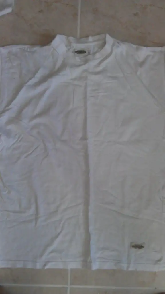 IMAG0455.webp