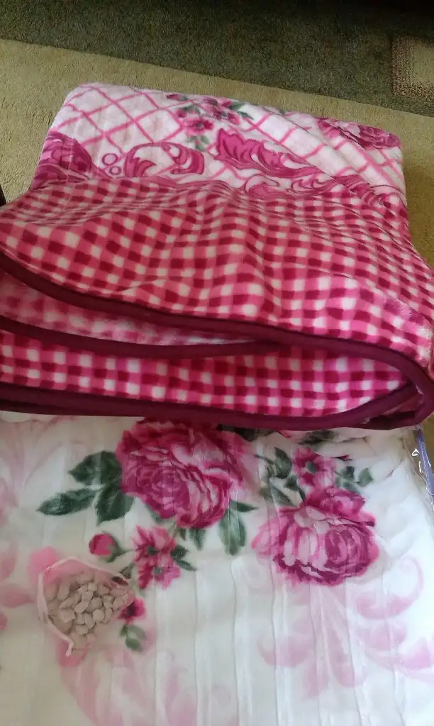 IMAG0514.webp