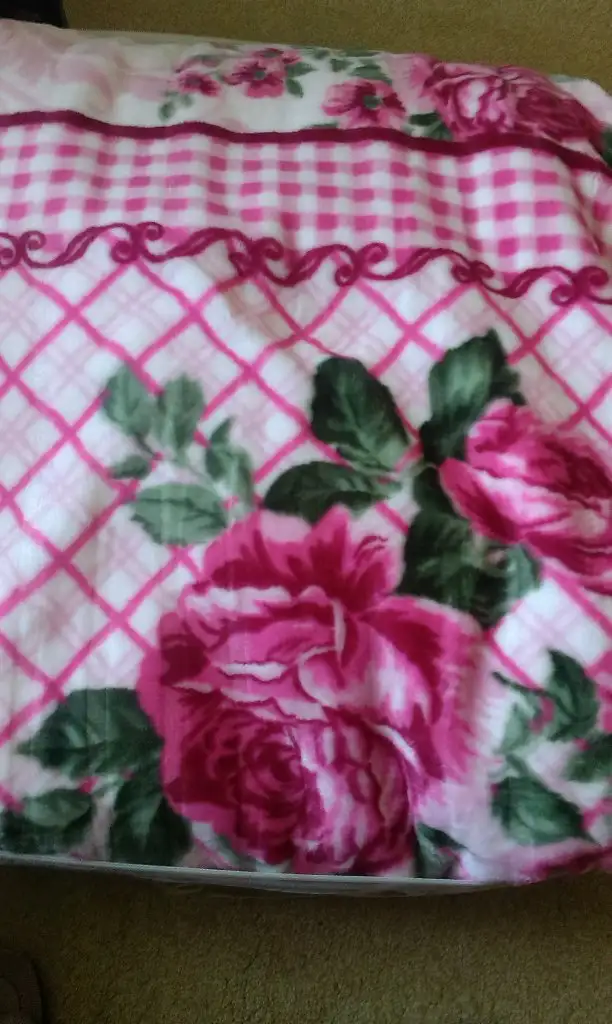 IMAG0515.webp