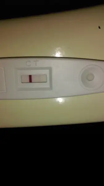 IMAG0561.webp