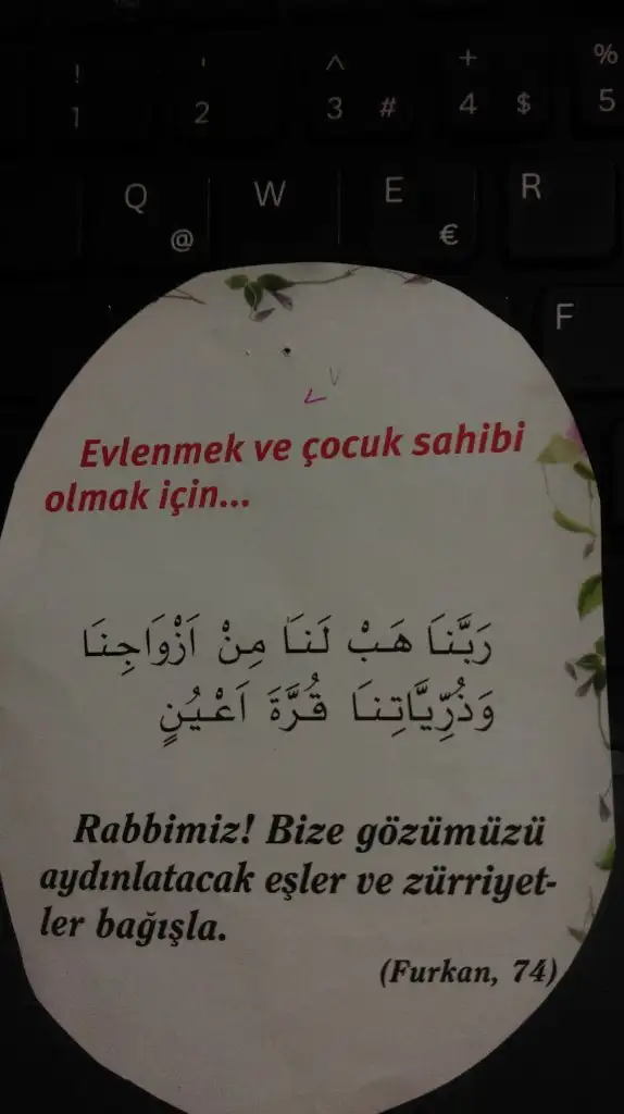 IMAG0602.webp