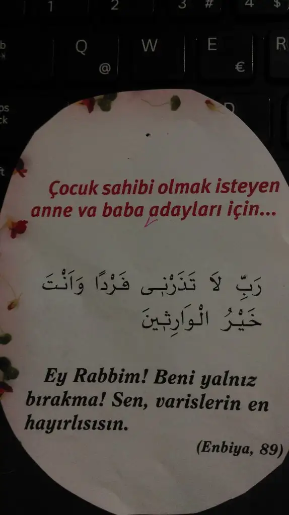 IMAG0603.webp