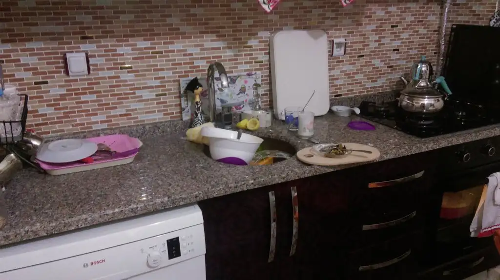 IMAG0693.webp
