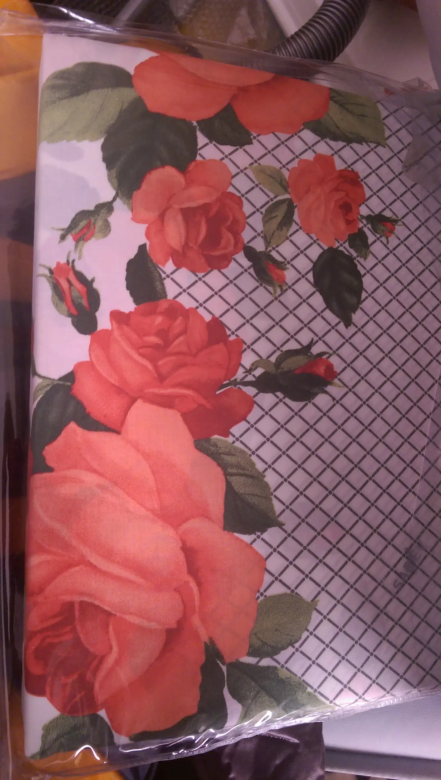 IMAG0755.webp