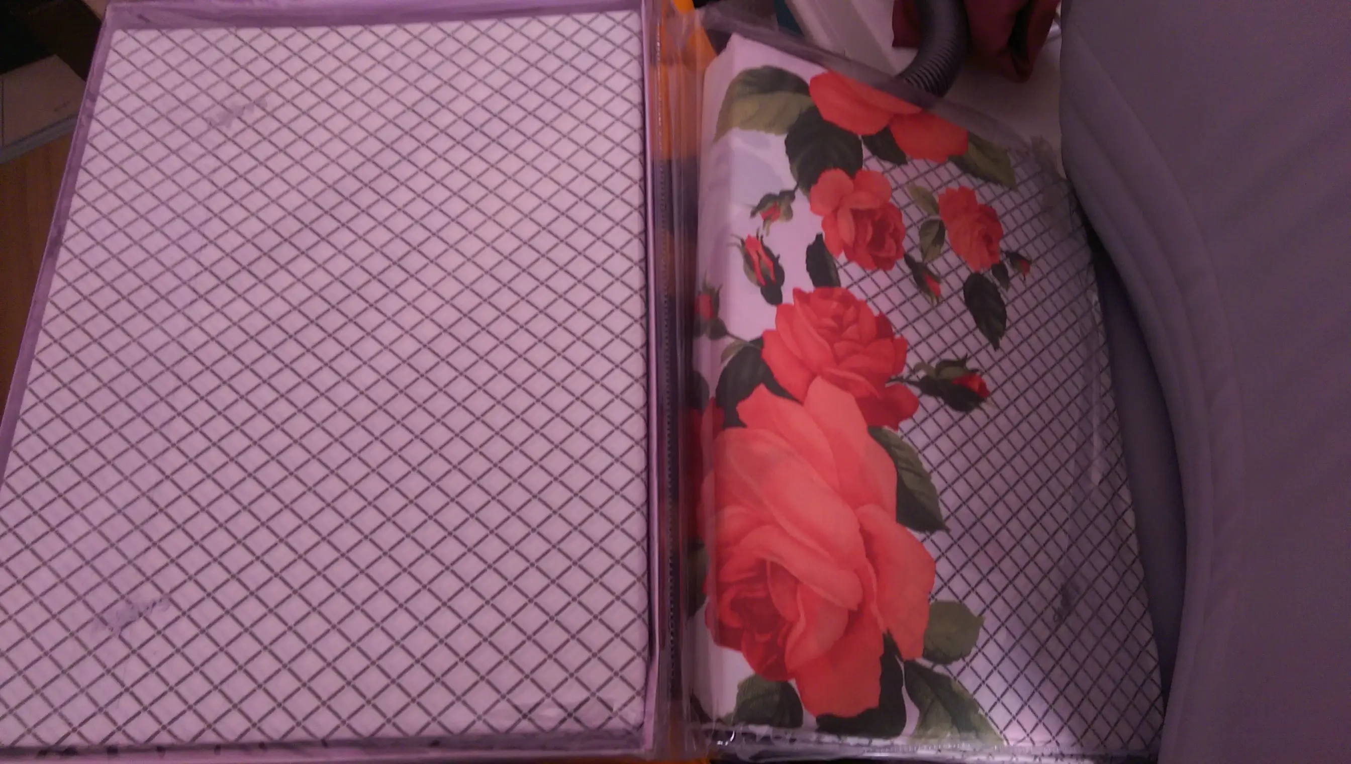 IMAG0756.webp