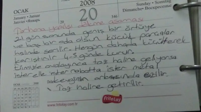 IMAG0872.webp