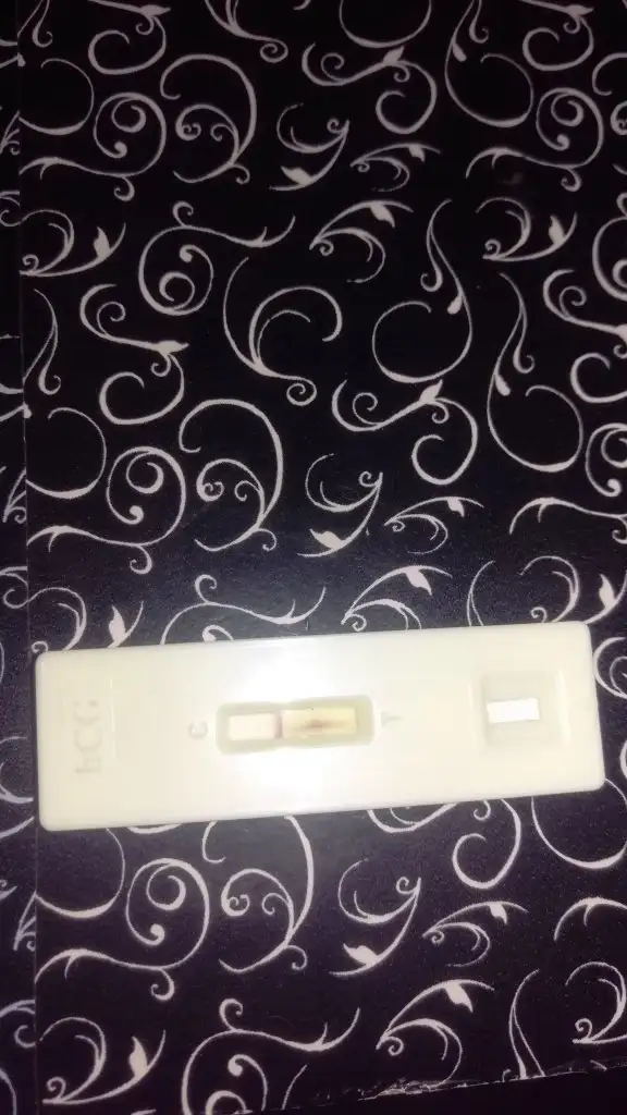 IMAG0898.webp