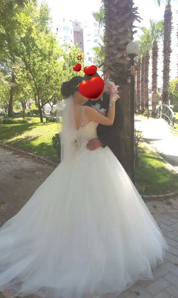 IMAG1146.webp