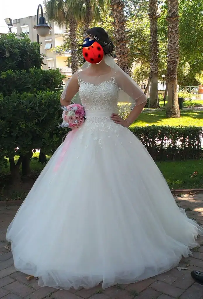 IMAG1212.webp