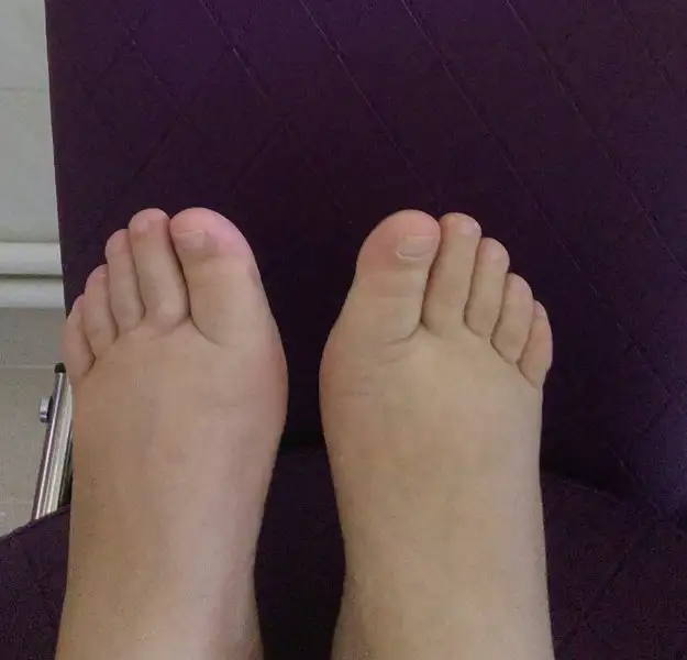 IMAG1212_1.webp