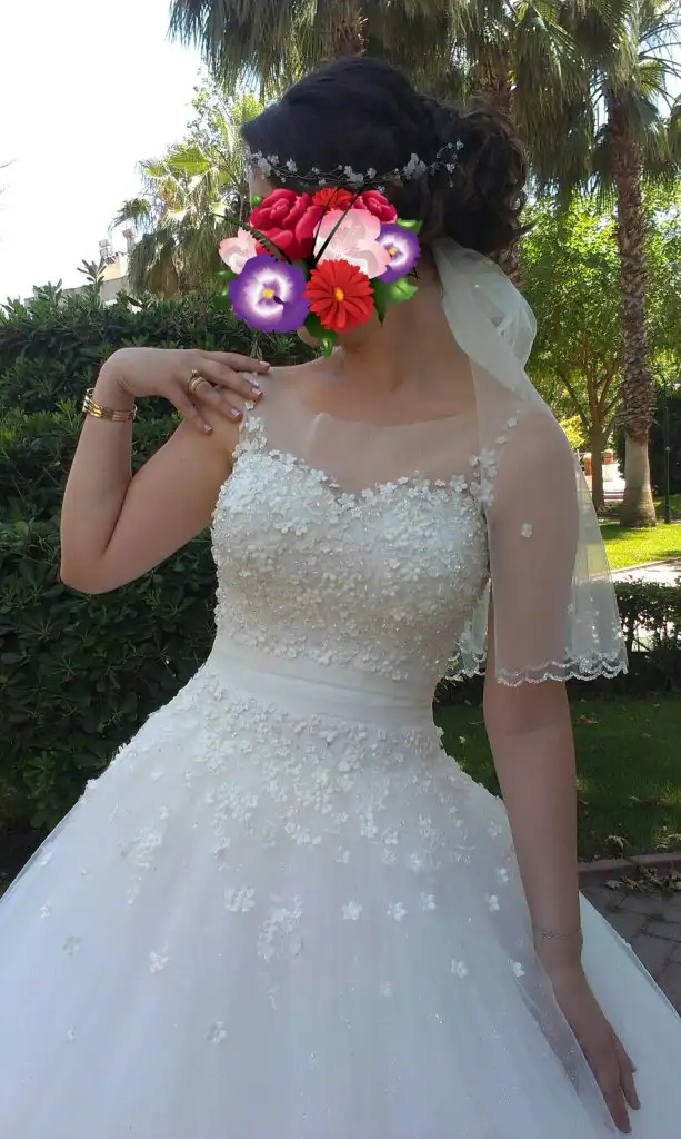 IMAG1226.webp