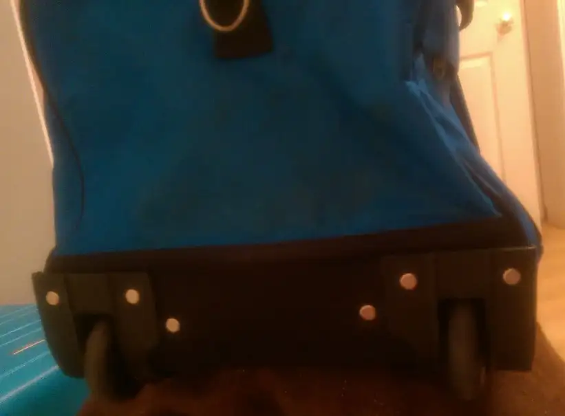 IMAG1298.webp