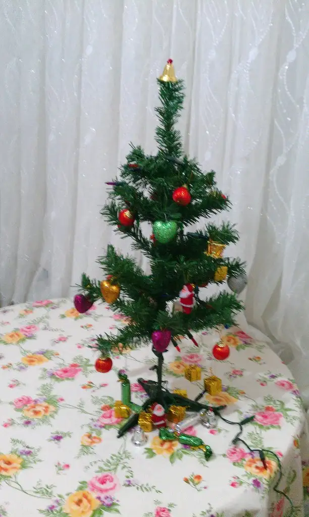 IMAG1325.webp