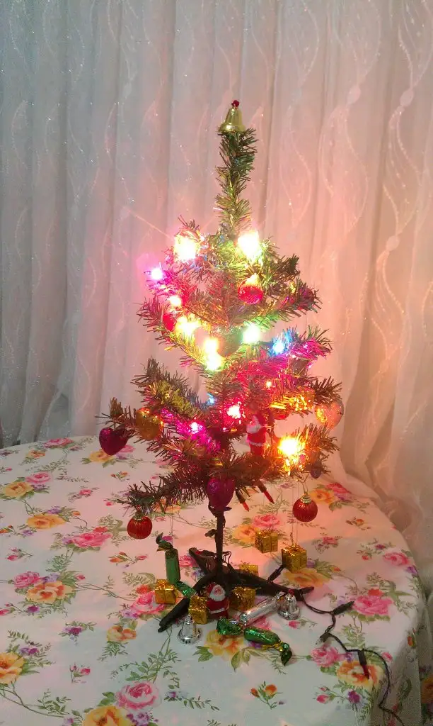 IMAG1329.webp
