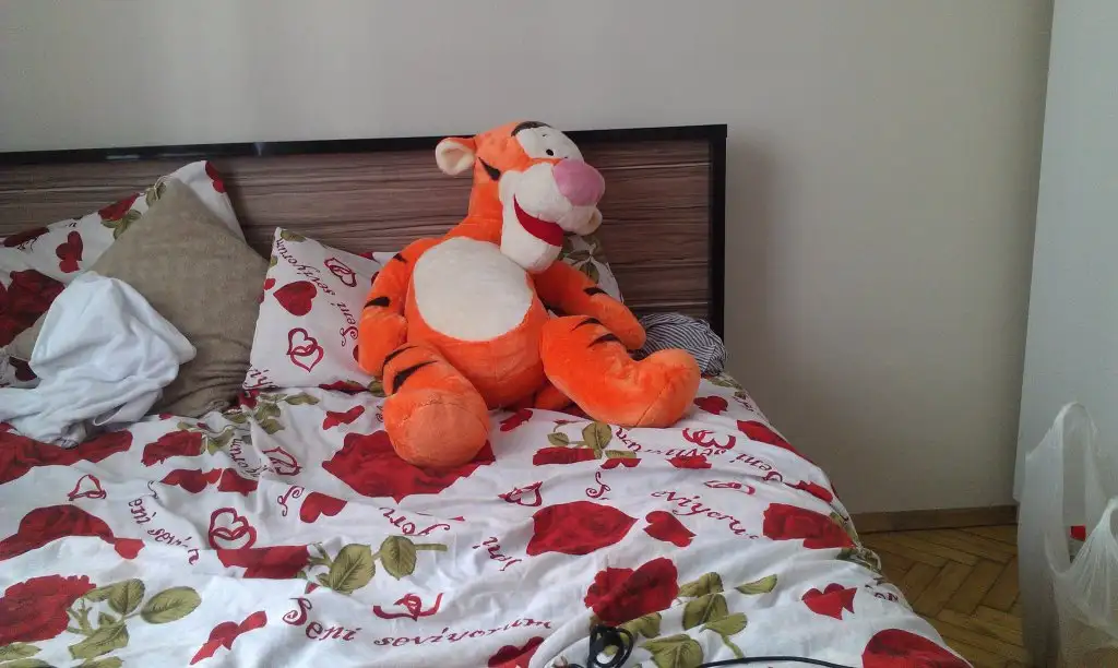 IMAG1344.webp