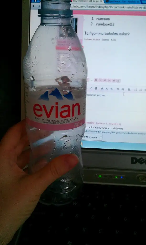 IMAG1381.webp