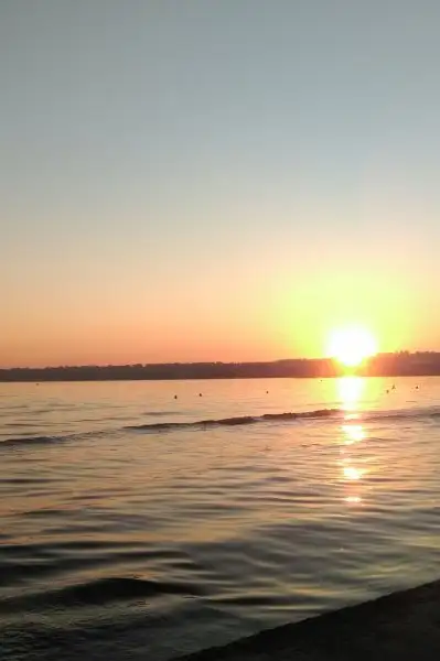 IMAG1543_1.webp