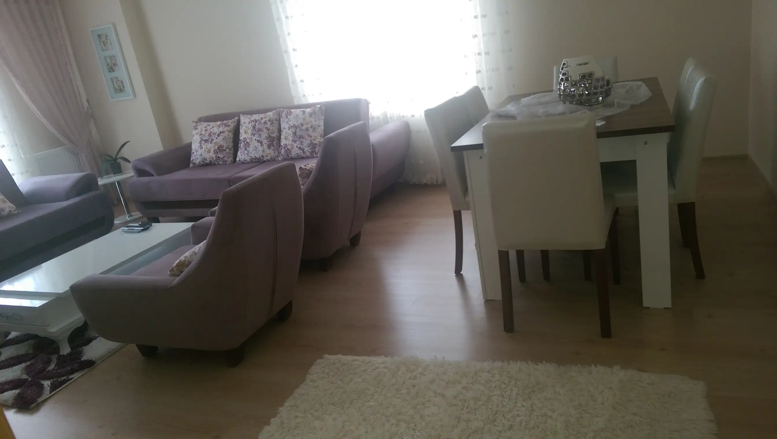 IMAG1610.webp