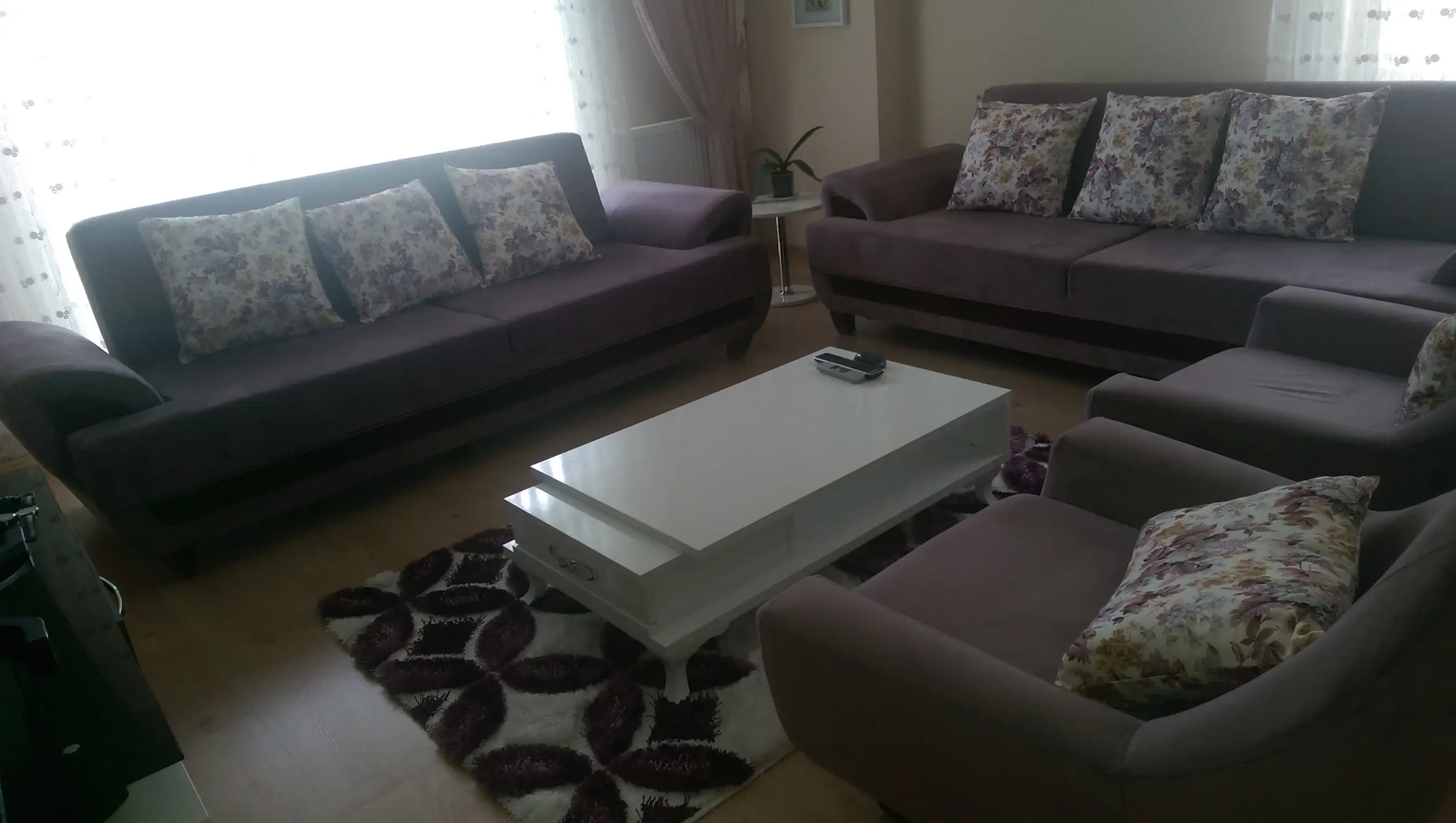 IMAG1611.webp