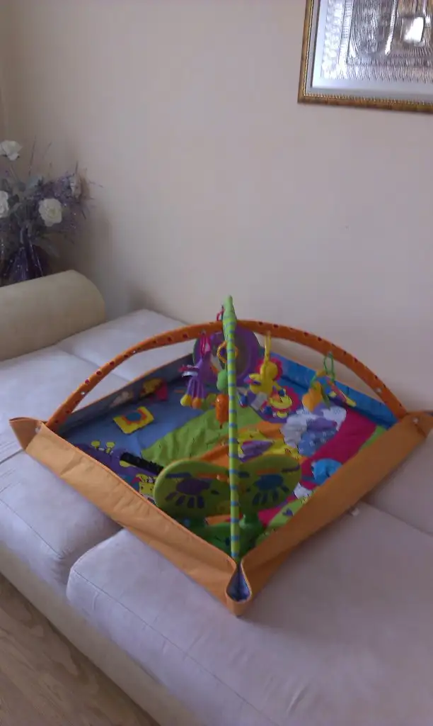 IMAG2667.webp