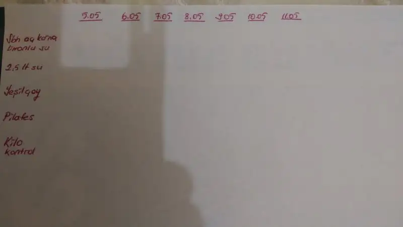 IMAG2755.webp