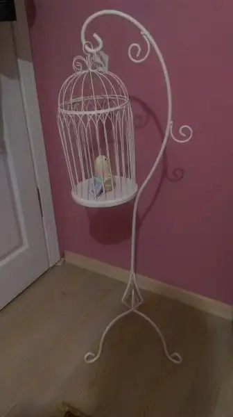 IMAG3342.webp