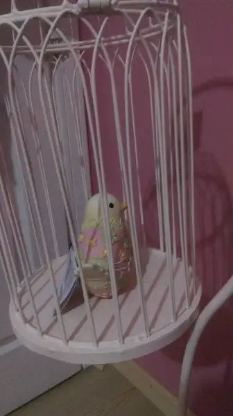 IMAG3344.webp